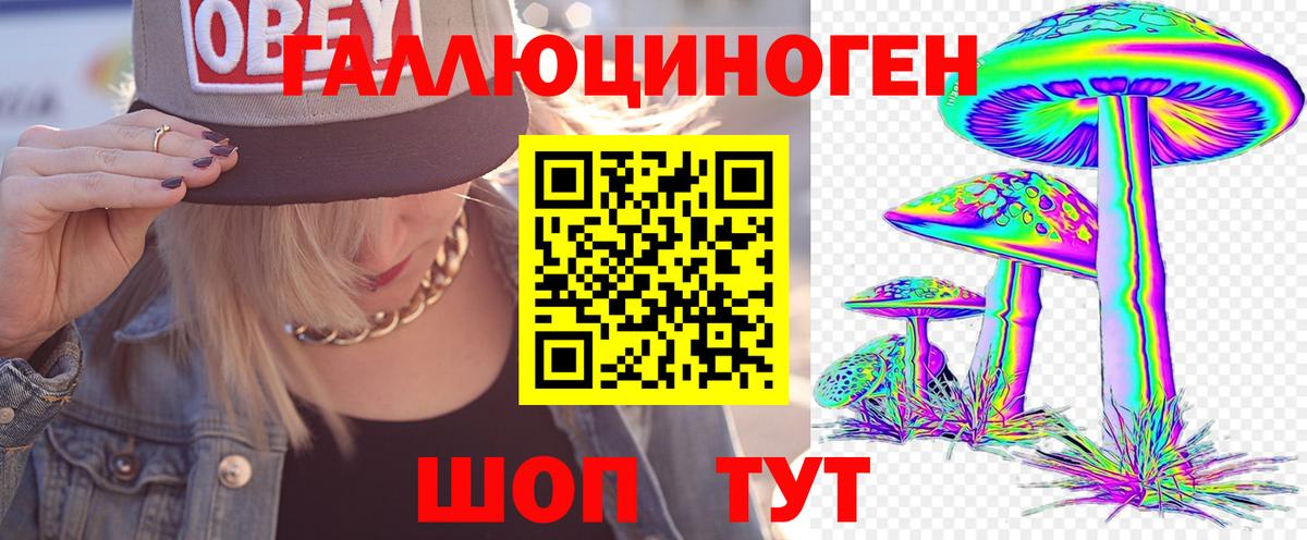 Псилоцибиновые грибы мицелий  Псилоцибиновые грибы Psilocybine cubensis  Десногорск  Вход с VPN 